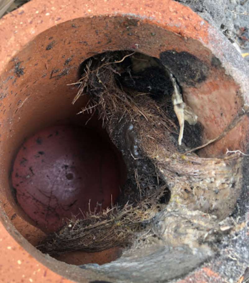 plumber in Cape Coral, FL
