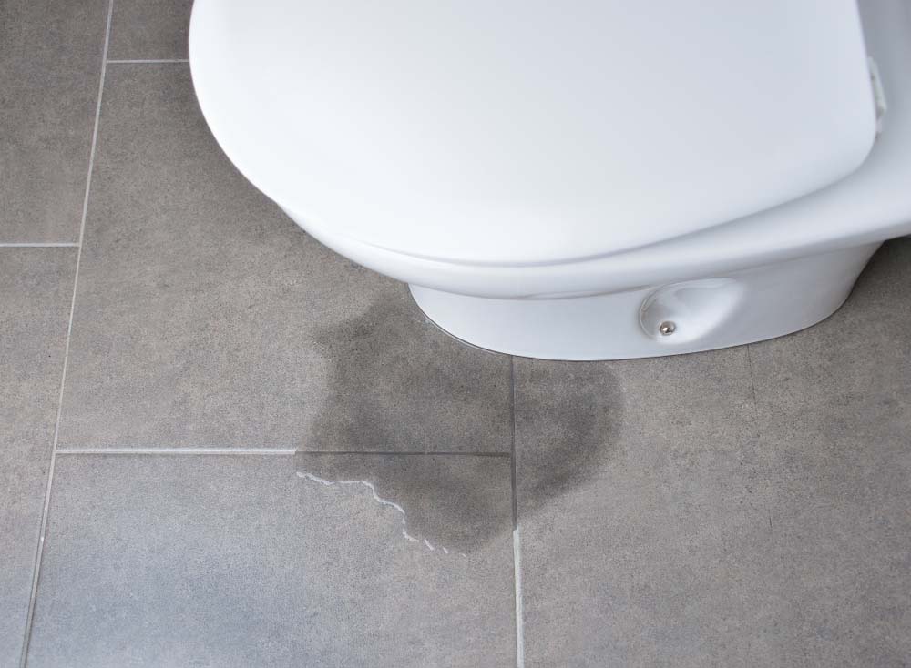 leaky toilet