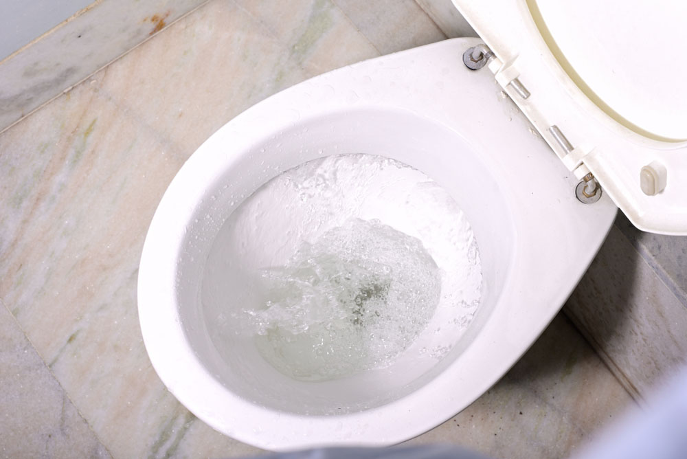 flushing toilet sewer backups North Fort Myers, FL