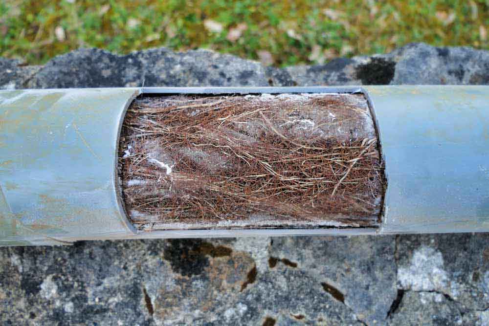 tree roots in the pipes Cape Coral, FL