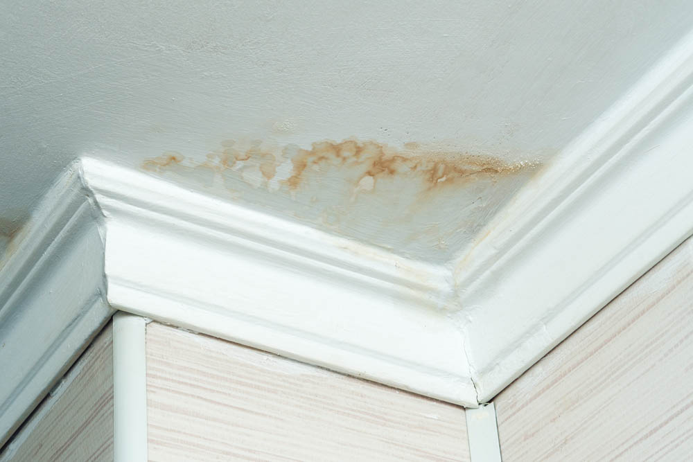 water-stained ceiling in North Fort Myers, FL